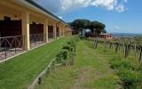 Ferienwohnung Lazio: Ferienwohnung Ariccia , Rom , Latium , Italien - Weinfarm ...