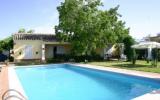 Ferienhaus Spanien: Ferienhaus Palma Del Río , Córdoba , Andalusien , ...