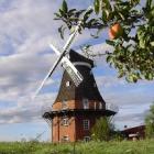 Ferienhaus Mecklenburg Vorpommern: Ferienhaus Goldenbow , ...