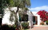 Ferienhaus Vieste Puglia Badeurlaub: Residence Alba - Trilocale, Apulien, ...