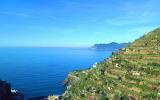 Ferienwohnung Manarola: Charakteristische Wohnung Mit Panoramablick In ...