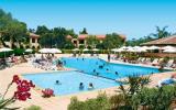 Ferienanlage Corse: Residence Sognu Di Mare: Anlage Mit Pool Für 4 Personen In ...