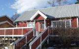Ferienhaus Nordland: Ferienhaus In Bodø, Nord-Norwegen Für 6 Personen ...
