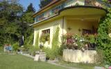 Ferienwohnung Oberosterreich: Zotti-Villa In Seewalchen Am Attersee In ...