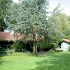 Ferienhaus Gees Drenthe Waschmaschine: Bungalowpark Elders In Gees, ...