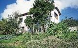 Ferienhaus Asturien: Casa Honorato In Santa Eulalia (Asturien) 