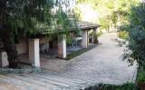 Ferienhaus Spanien: Ferienhaus Mit Pool Für 6 Personen In Pollensa, Mallorca 