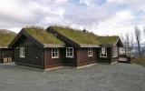 Ferienhaus Norwegen: Doppelhaus In Hemsedal, Buskerud Nord Für 9 Personen ...