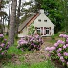 Ferienhaus Niederlande: Landgoed 't Wildryck In Dieverbrug, Drenthe Für 6 ...