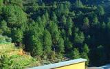 Ferienwohnung Ligurien Waschmaschine: Haus Mit Blick Auf Die Weinberge In ...