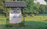 Hotel Houyet Reiten: La Marquisette In Houyet Mit 6 Zimmern Und 2 Sternen, ...