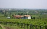 Zimmer Italien: Casa Pierina Agriturismo In Villafranca Di Verona Mit 5 ...