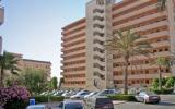 Ferienwohnung Torrevieja: Appartement 