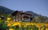 Ferienwohnung Fügen Fernseher: Pankrazberg In Fügen, Tirol Für 11 ...