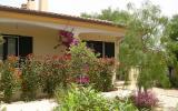 Ferienhaus Sardegna Badeurlaub: Schöne Villa In Iscra E Voes In Italien In ...