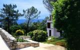 Ferienwohnung Rabac: 2 Sterne Sunrise Girandella Villas In Rabac (Istra) Mit ...