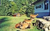 Ferienhaus Saalfelden Badeurlaub: Ferienhaus Jägermeisterhütte In ...