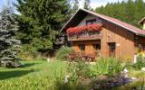 Ferienhaus Piesau Badeurlaub: Panoramablick In Piesau, Thüringen Für 3 ...