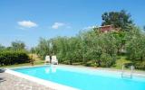 Ferienhaus Lucca Toscana: Podere Cerbaie: Ferienhaus Mit Pool Für 6 ...