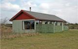 Ferienhaus Dänemark: Ferienhaus In Ringkøbing, Hvide Sande, Dänemark ...