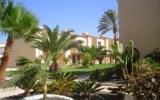 Ferienwohnung Corralejo Canarias: 1 Sterne Apartamentos Maxorata Beach In ...