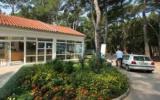 Ferienanlage Zagrebacka: 4 Sterne Camp Soline In Biograd Na Moru (Zadar ...