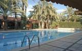 Hotel Elche Comunidad Valenciana Pool: 4 Sterne Jardín Milenio In Elche ...