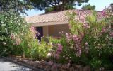 Ferienwohnung Provence: Luxusferienhaus Im Park Oasis, Côte D'azur, ...