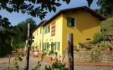 Ferienwohnung Buggiano Toscana: Ferienwohnung 