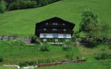 Ferienhaus Bramberg Salzburg: Birkleiten In Bramberg, Salzburger Land Für ...