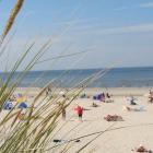 Ferienwohnung Callantsoog: Ferienanlage 