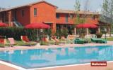 Hotel Toscana Reiten: Podere Saliciaia In Monsummano Terme (Pistoia) Mit 10 ...