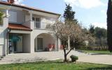 Ferienwohnung Novigrad Istrien: Ferienwohnung In Ruhiger Lage Mit Terrasse ...