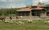 Hotel Spanien: La Posada De Gallegos In Gallegos , 7 Zimmer, Kastilien-León, ...