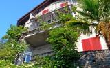 Ferienwohnung Ronco Sopra Ascona: Appartement 