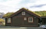 Ferienhaus Norwegen: Doppelhaus In Hemsedal, Buskerud Nord Für 15 Personen ...