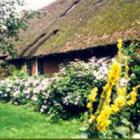 Bauernhof Niederlande Badeurlaub: Zwienhemmen In Eexterzandvoort, ...