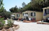 Camping Kvarner Bucht: Camping Olivia In Rabac, Istrien Für 4 Personen ...