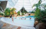 Ferienanlage Mol Antwerpen Pool: Ferienpark 