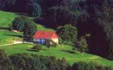 Ferienhaus Vagney Skiurlaub: Les Brimbelles In Vagney, ...