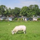 Ferienhausnoord Holland: Ferienhaus 