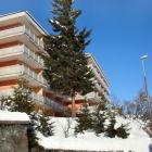 Ferienwohnung Arosa Graubünden Fernseher: Appartement 