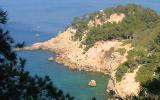 Ferienhaus Frankreich: Dom. Azur En Tahitipark In Le Lavandou, ...