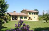 Ferienhaus Italien Kamin: Villa Voltarina In Bracciano, Latium/ Rom Für 8 ...
