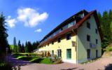 Ferienanlage Geising Skiurlaub: Waldhotel Am Aschergraben In Geising Mit 18 ...