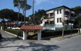 Hotel Toscana: 3 Sterne Hotel La Pineta Al Mare In Forte Dei Marmi , 28 Zimmer, ...