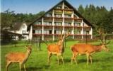 Hotel Rheinland Pfalz Reiten: Waldhotel Heiderhof In Obersteinebach, 52 ...
