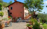 Ferienhaus Italien: Großer Garten Mit Zitruspflanzen Und Olivenbäumen In ...