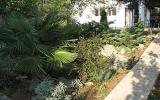 Ferienwohnung Pjescana Uvala: Ferienwohnung Mit Großem Garten In Pjescana ...