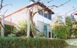 Ferienhausaveiro: Ferienhaus Für 5 Personen In Real - Castelo De Paiva, ...
